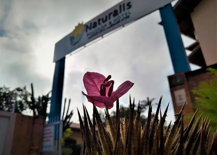 Naturalis